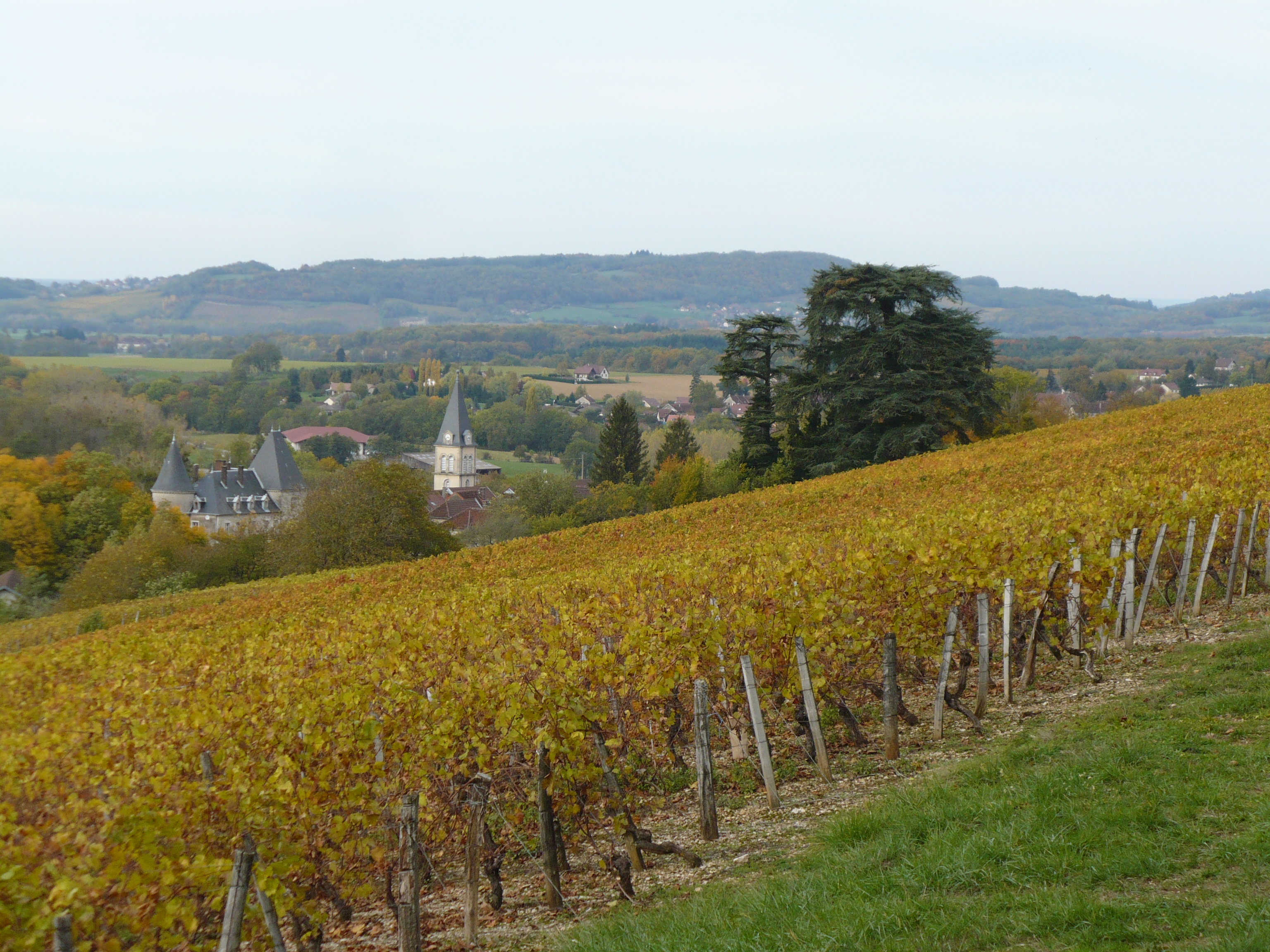 lavigny-automne